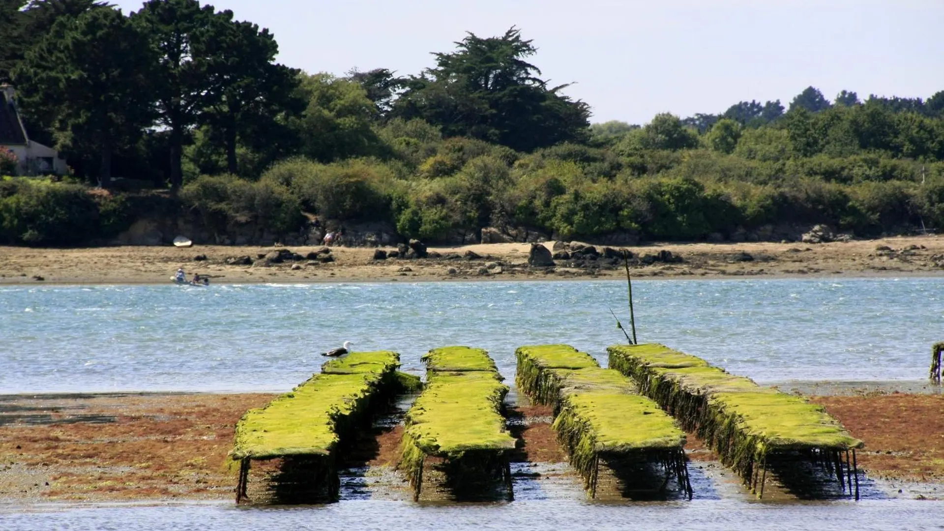 Kercolette, Maison Avec Piscine Non Chauffee Proche Des Plages Erdeven